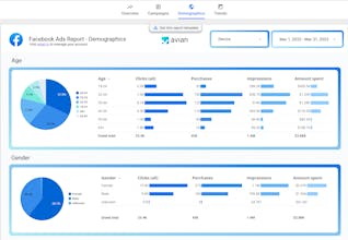 Marketing Report Templates by Avian.io gallery image