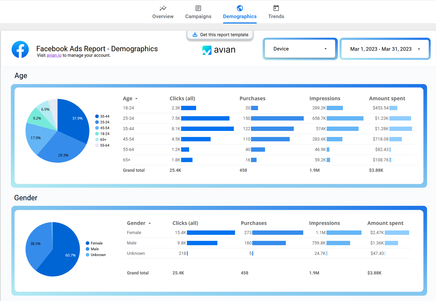 Modèles de rapport marketing par Avian.io media 5