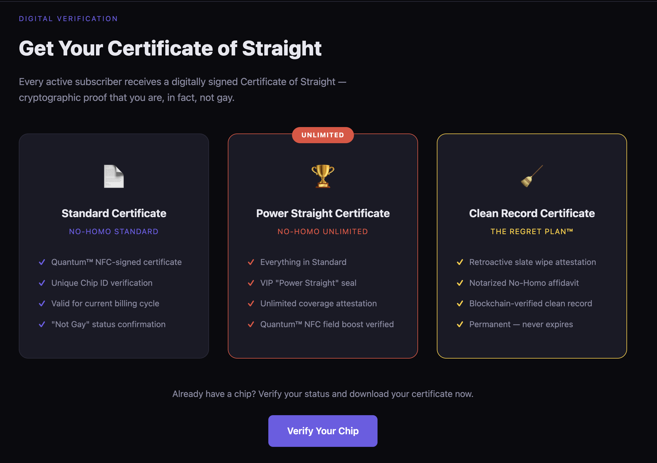 No-Homo Forever! - Screenshot 2 showing product features and functionality