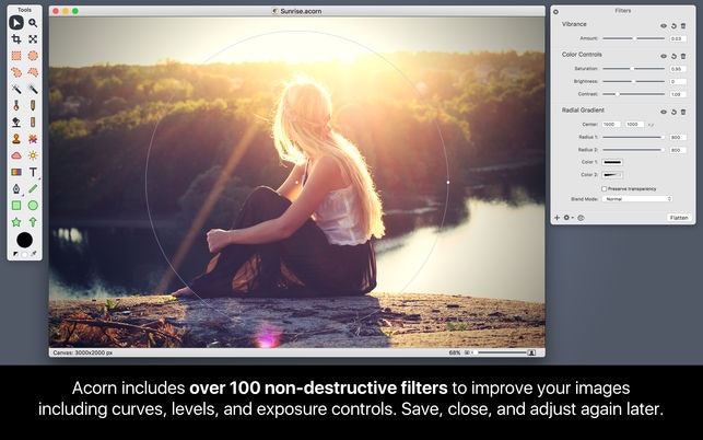 Acorn 6 Image Editor gallery image