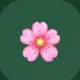 FlowPhase — Perimenopause Companion
