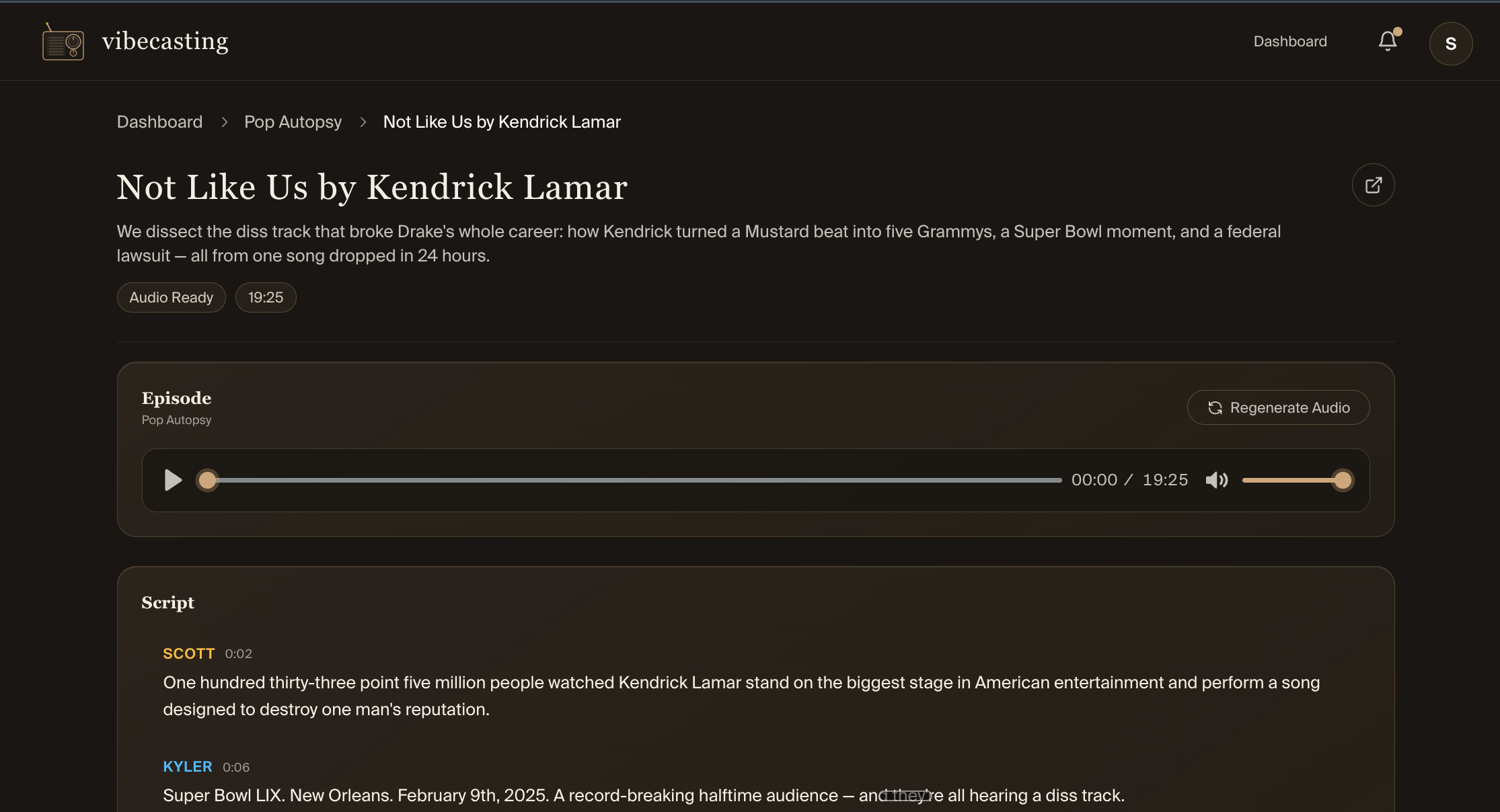 vibecasting gallery image