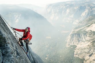 Spot Injury Insurance gallery image