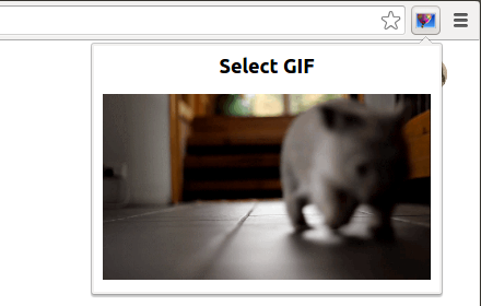 Gif Selecter gallery image