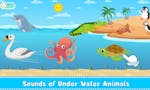 Animal Sound for kids learning image