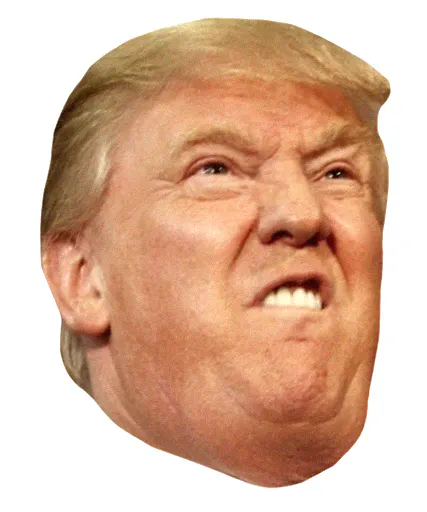 Trump Dump