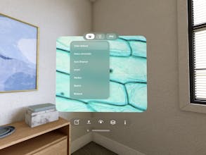 Sscopy gallery image