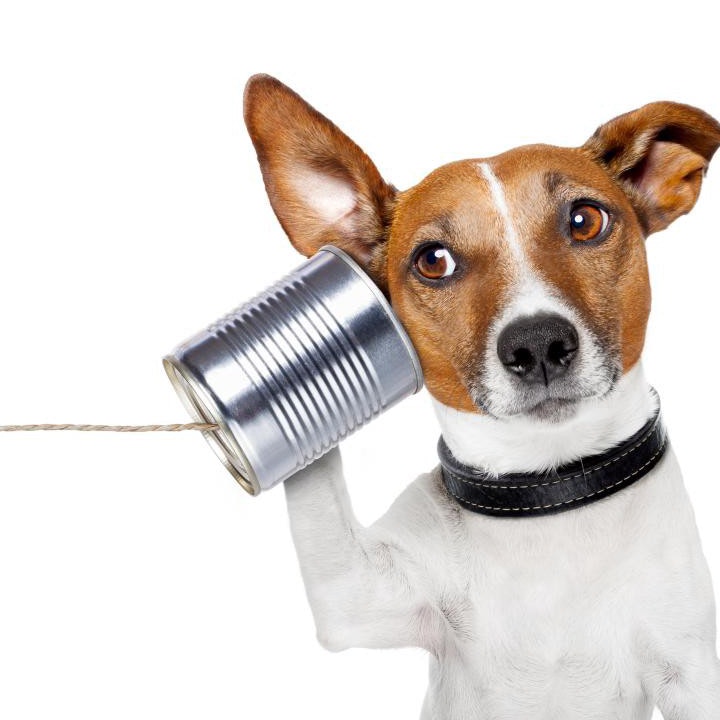 Telegram listener bot