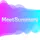 Meetsummary