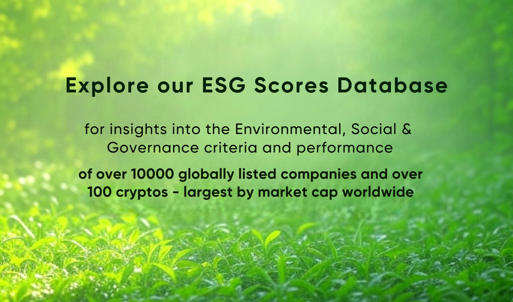 EcoVibESG Database