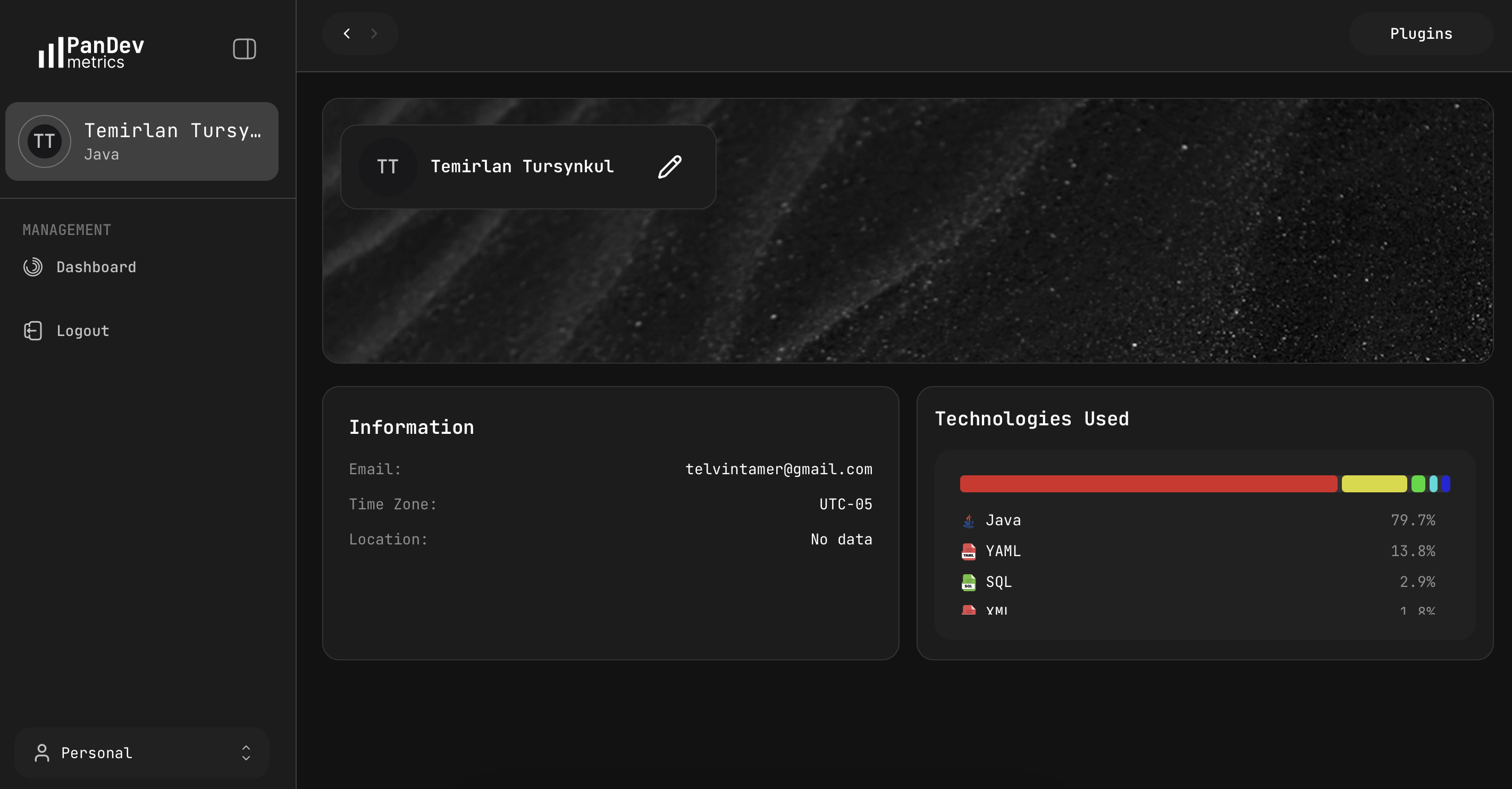 PanDev Metrics (Personal) - Main product screenshot demonstrating key features and user interface