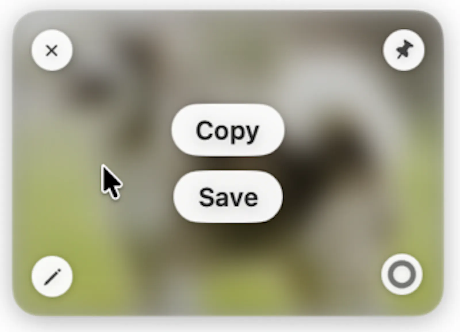 Snapix screenshot 3