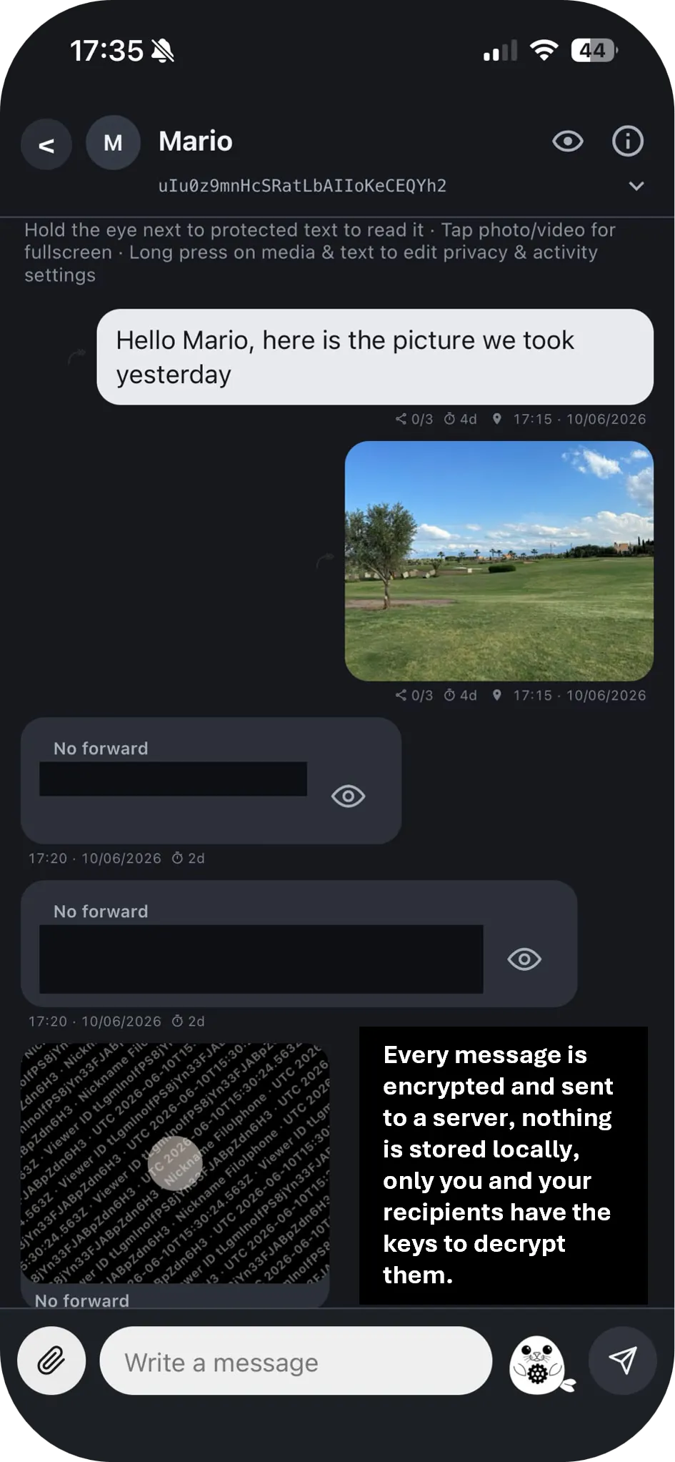 Sealr Chat gallery image