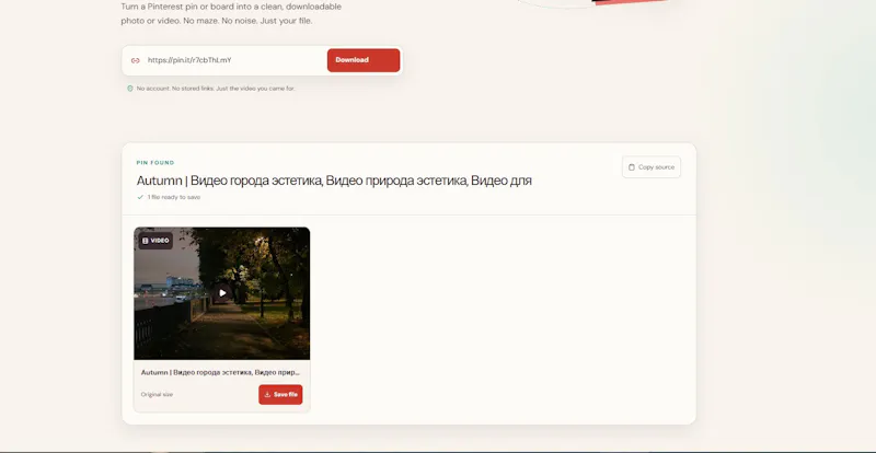 Pinterest Video Downloader screenshot 1