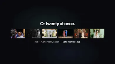 API Watermark gallery image