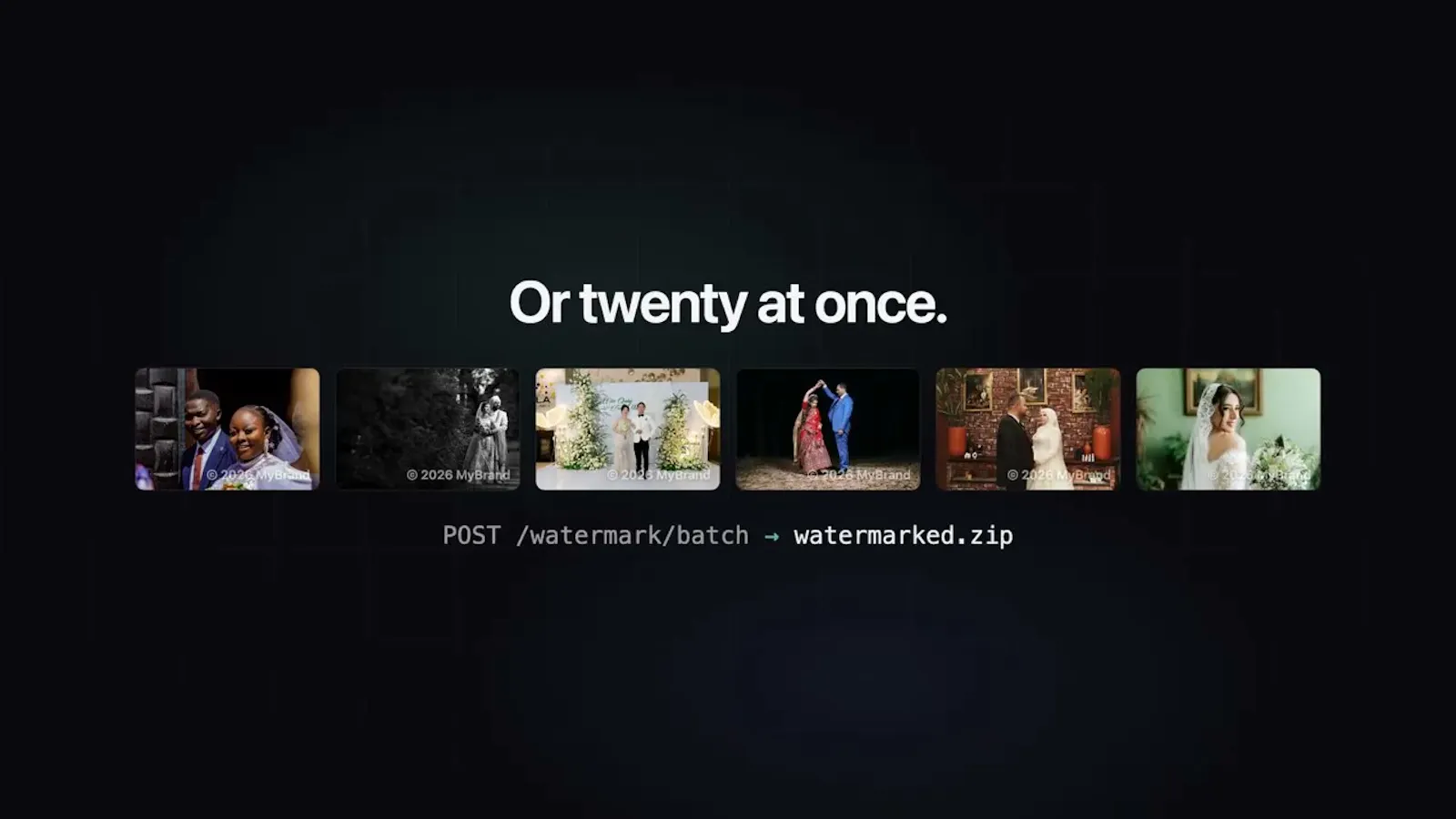 API Watermark screenshot 1 (video preview)