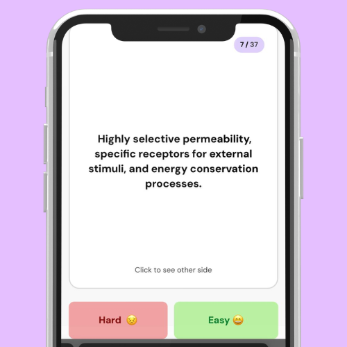 flashlab.io - A.I Flashcard e quiz ad Ace tutti i tuoi esami media 3