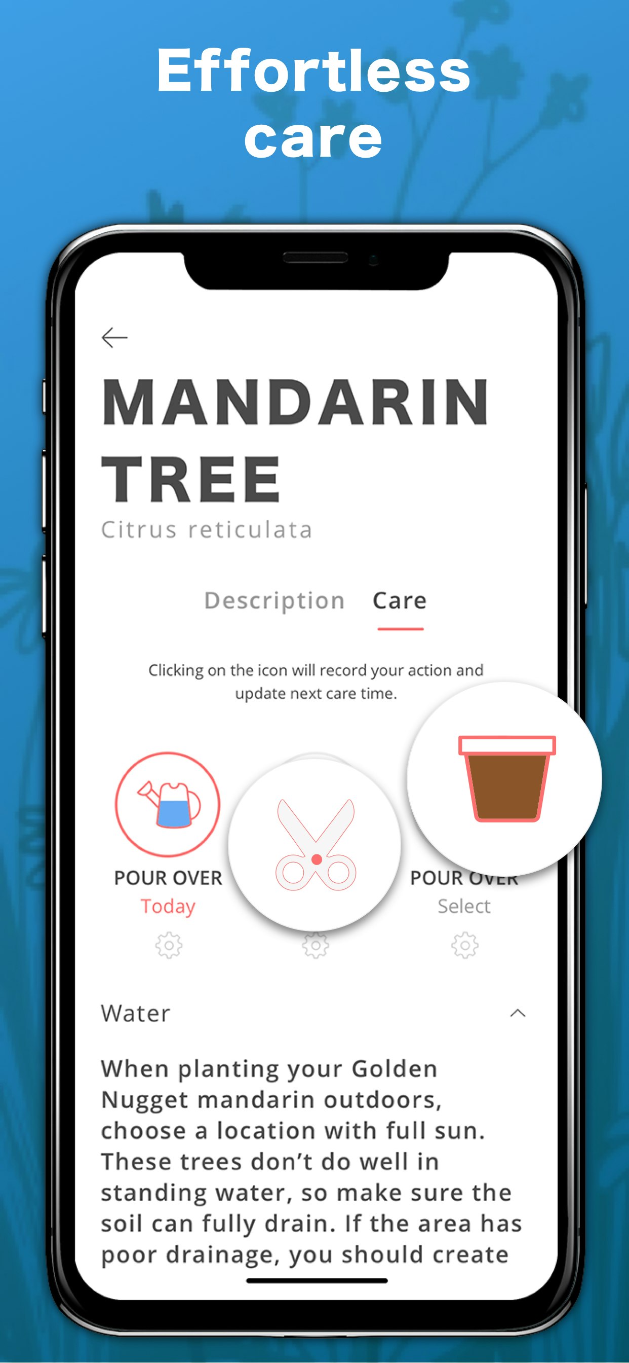 ThePlantMe gallery image