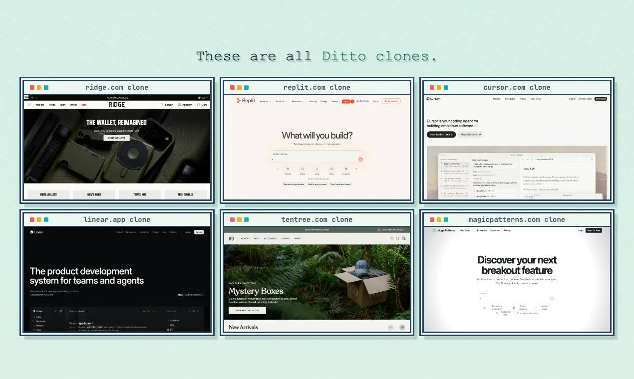 ditto.site gallery image