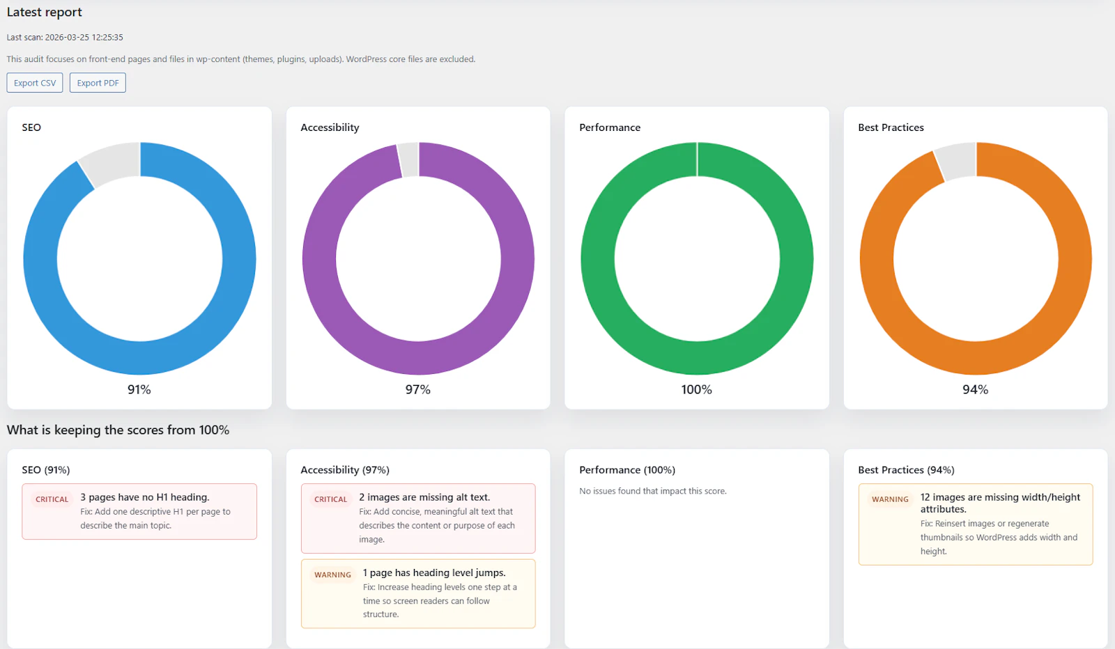 SEO Auditor screenshot 2