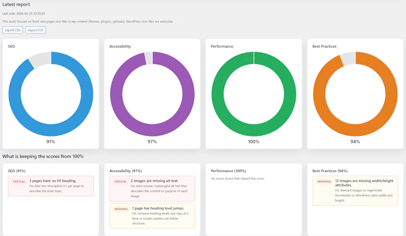 SEO Auditor screenshot 2
