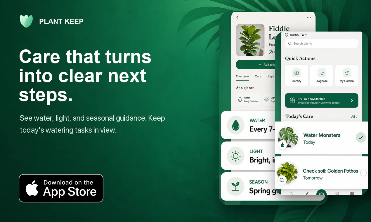 Plant Keep gallery image