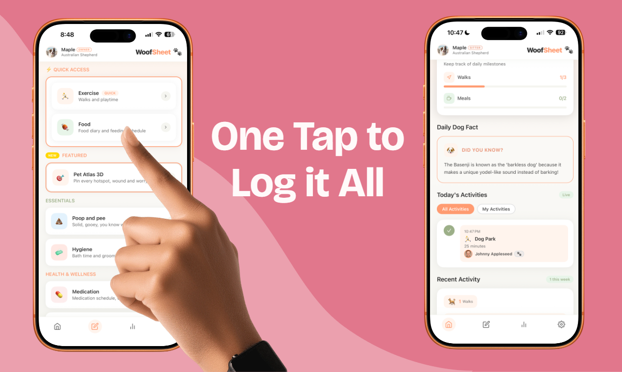 WoofSheet — Smart Dog Care Tracker - Screenshot 2 preview