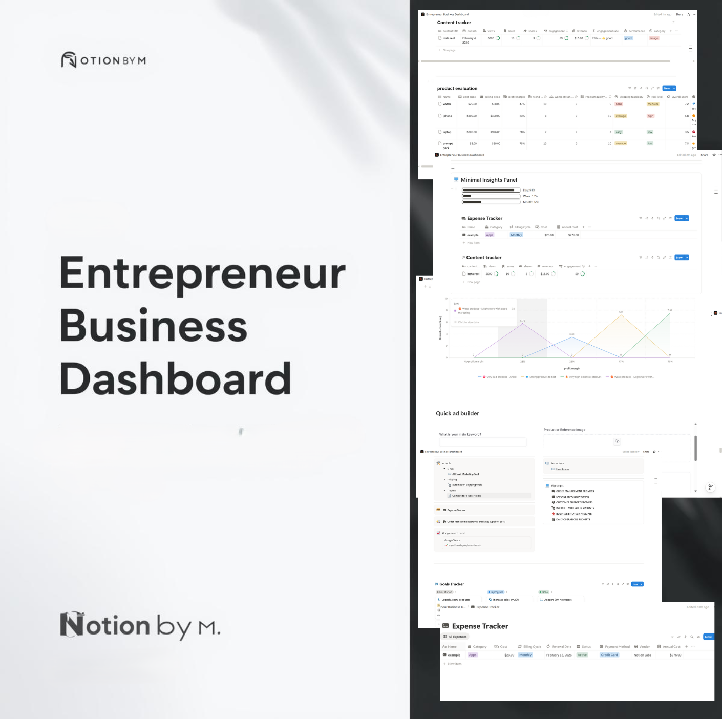 Entrepreneur Business Dashboard 