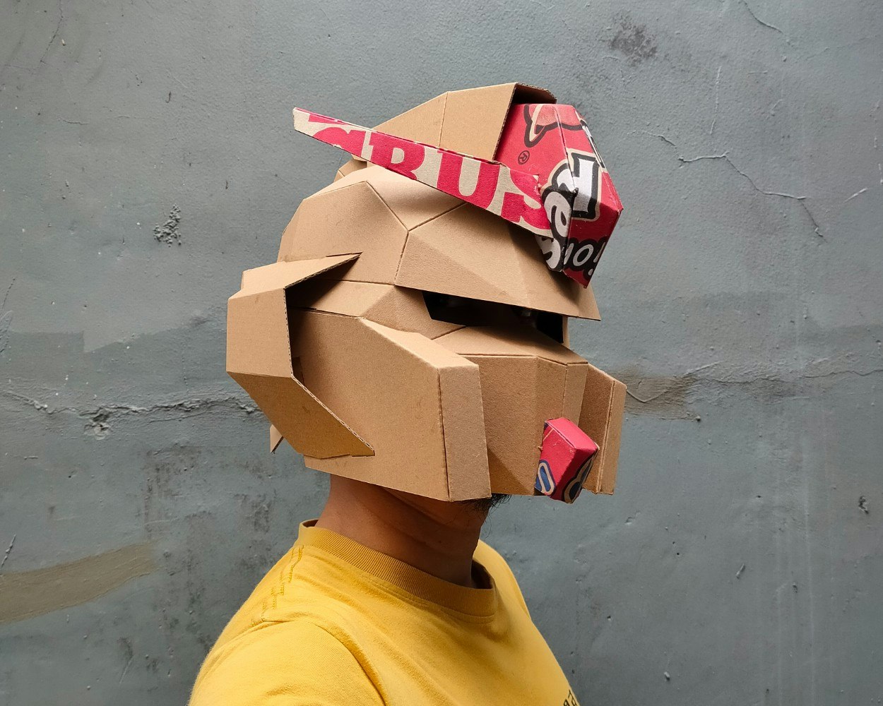 Karton DIY