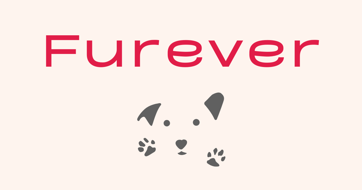 Furever - Waar het verhaal van elk huisdier zijn voor altijd thuis vindt media 5