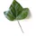 Tree.fm π²