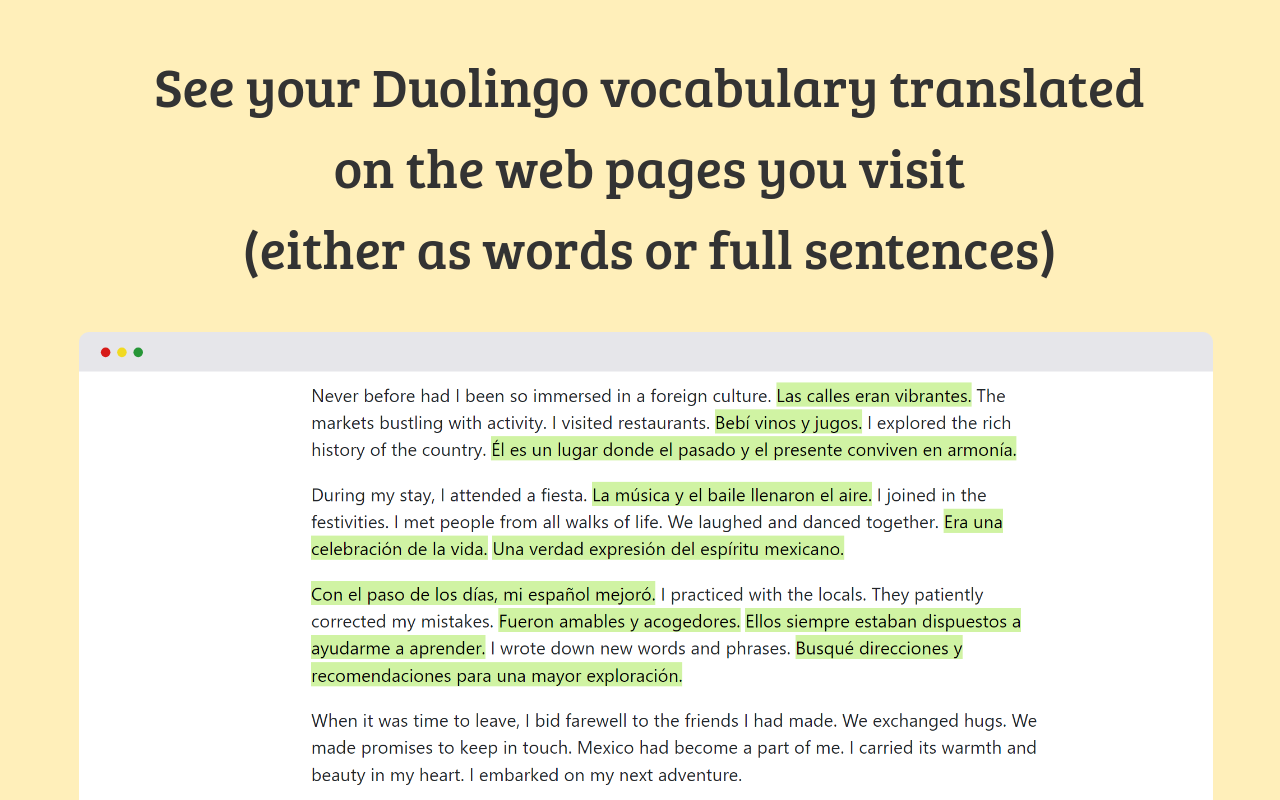 Duolingo ninja media 4