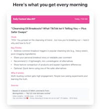 Audience-Driven TikTok Ideas gallery image