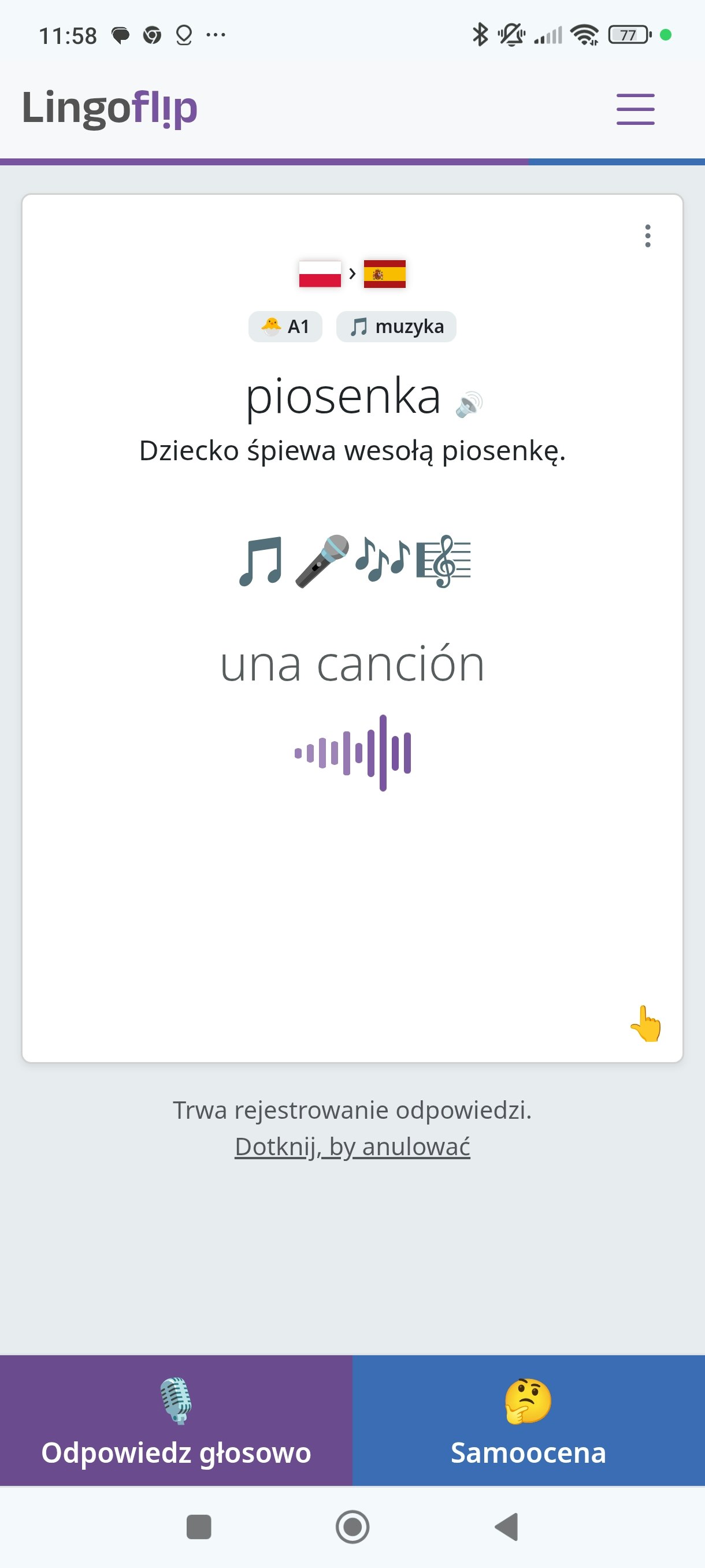 Lingoflip media 1