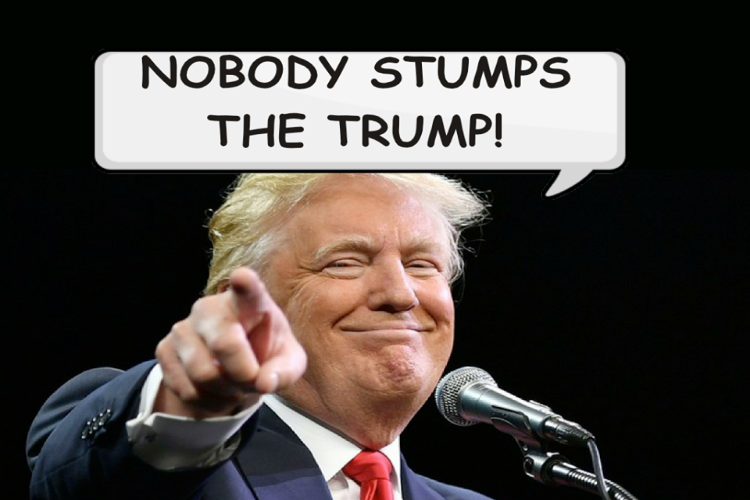 Can You Stump the Trump? gallery image