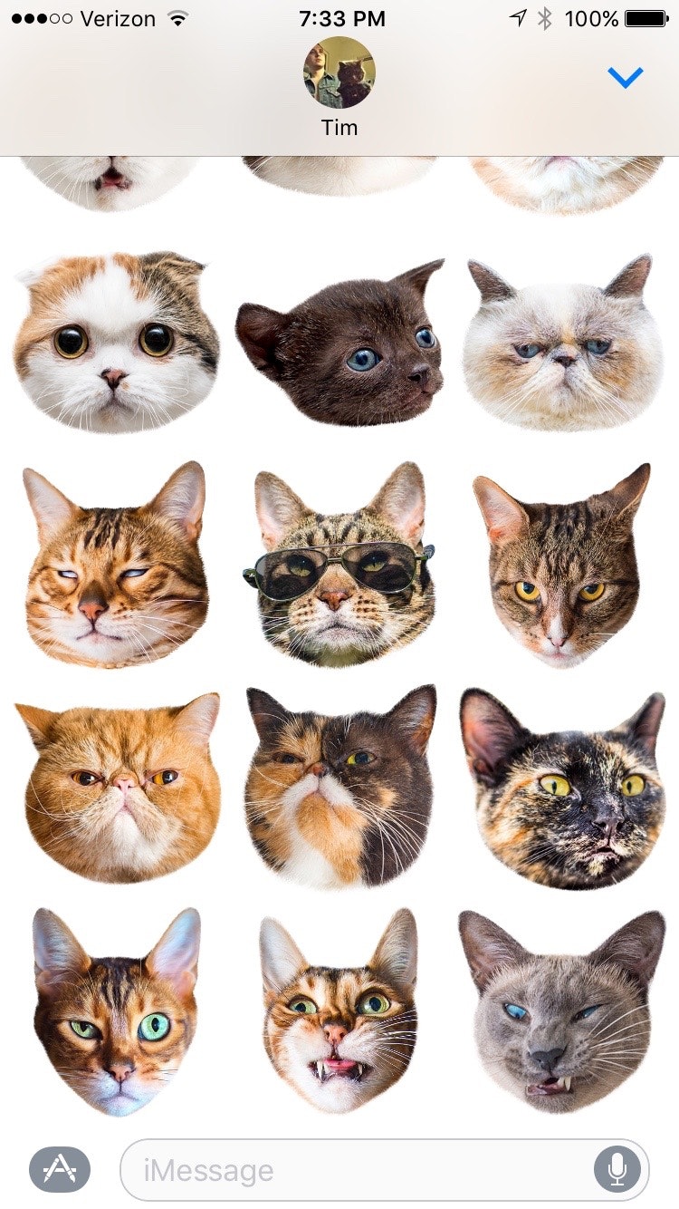 Cat Stamp! gallery image