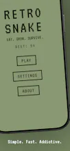 Retro Snake gallery image