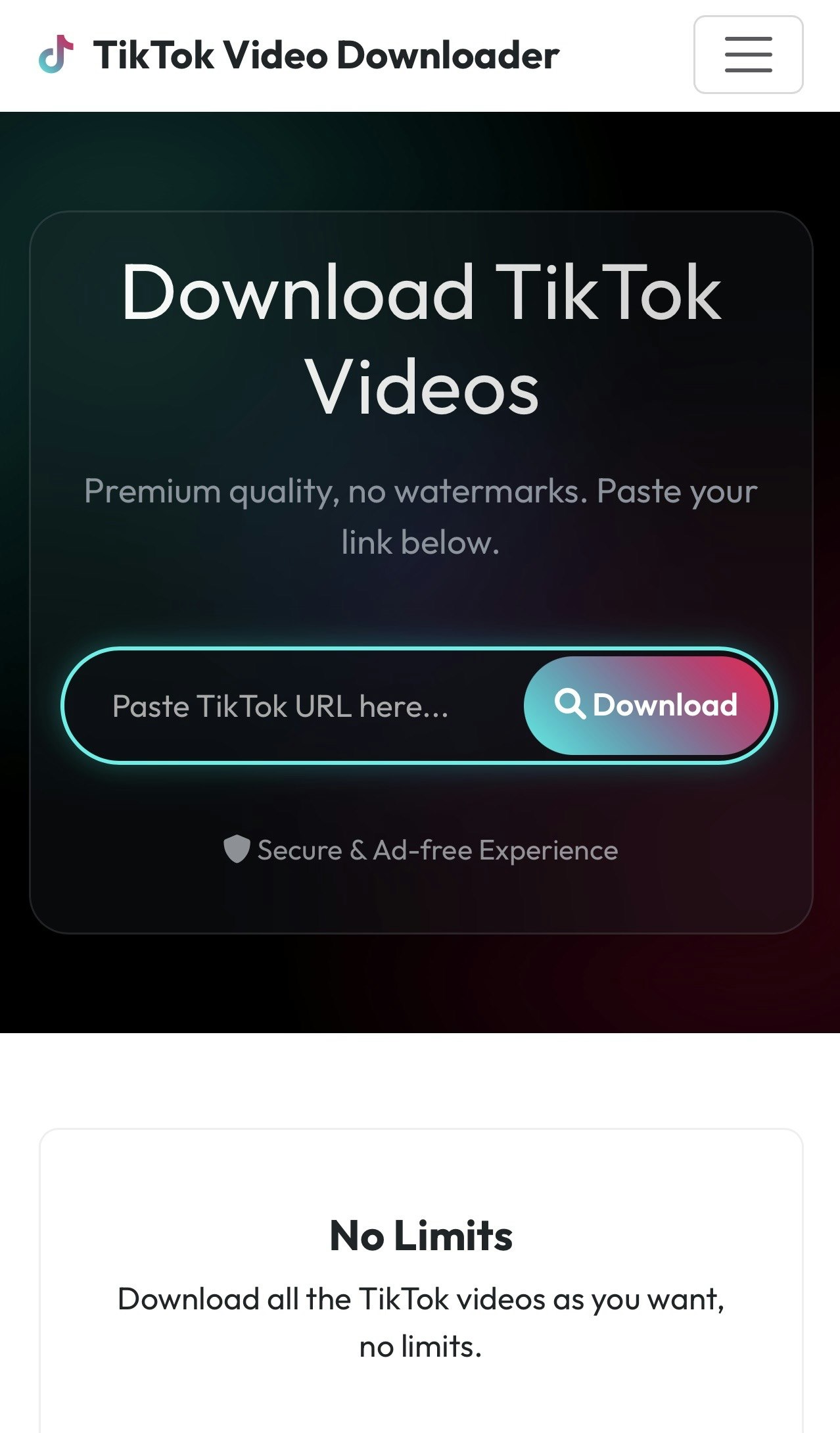 TikTok Video Downloader