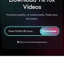 TikTok Video Downloader