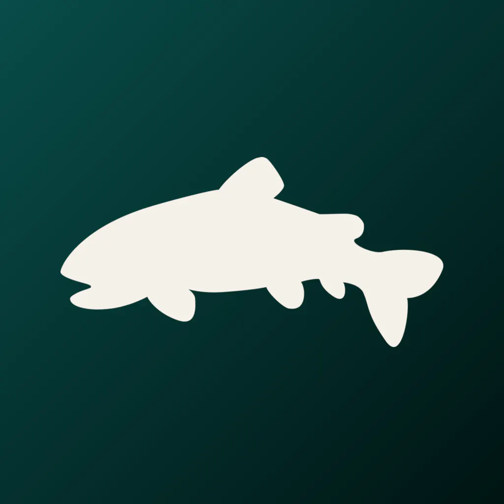 Cutty | Fly Fishing & Fly Tying