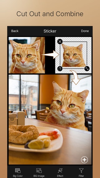 LightX - Cut Out and Combine, Blend Photos and Selfie Photo Editor gallery image