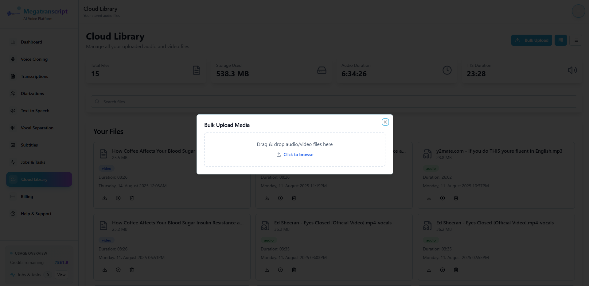 MegaTranscript AI Voice Studio gallery image