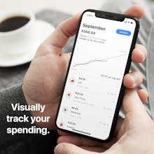 Budget Burndown gallery image