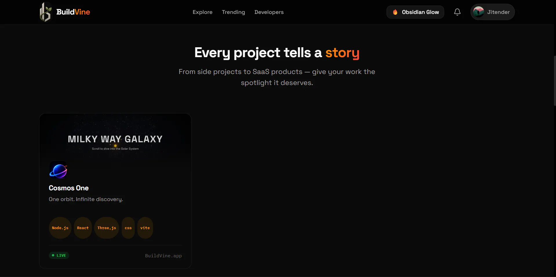 BuildVine gallery image