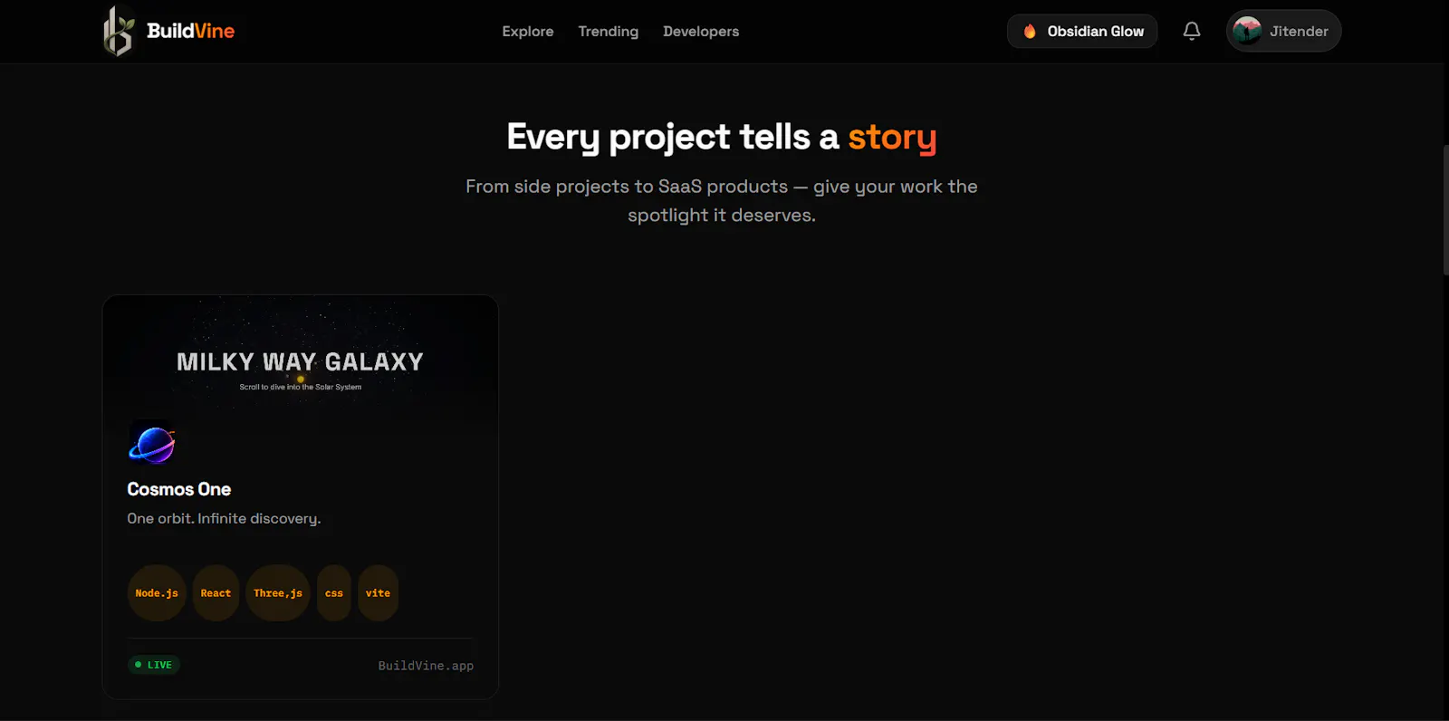 BuildVine screenshot 5