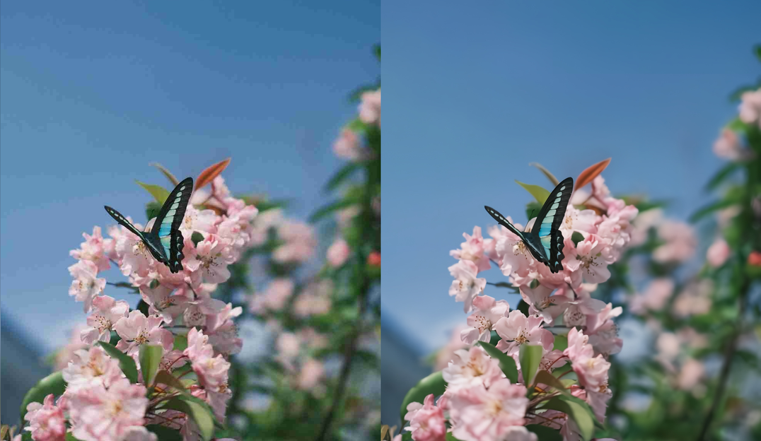 PhotoRescue - Screenshot 2 showing product features and functionality