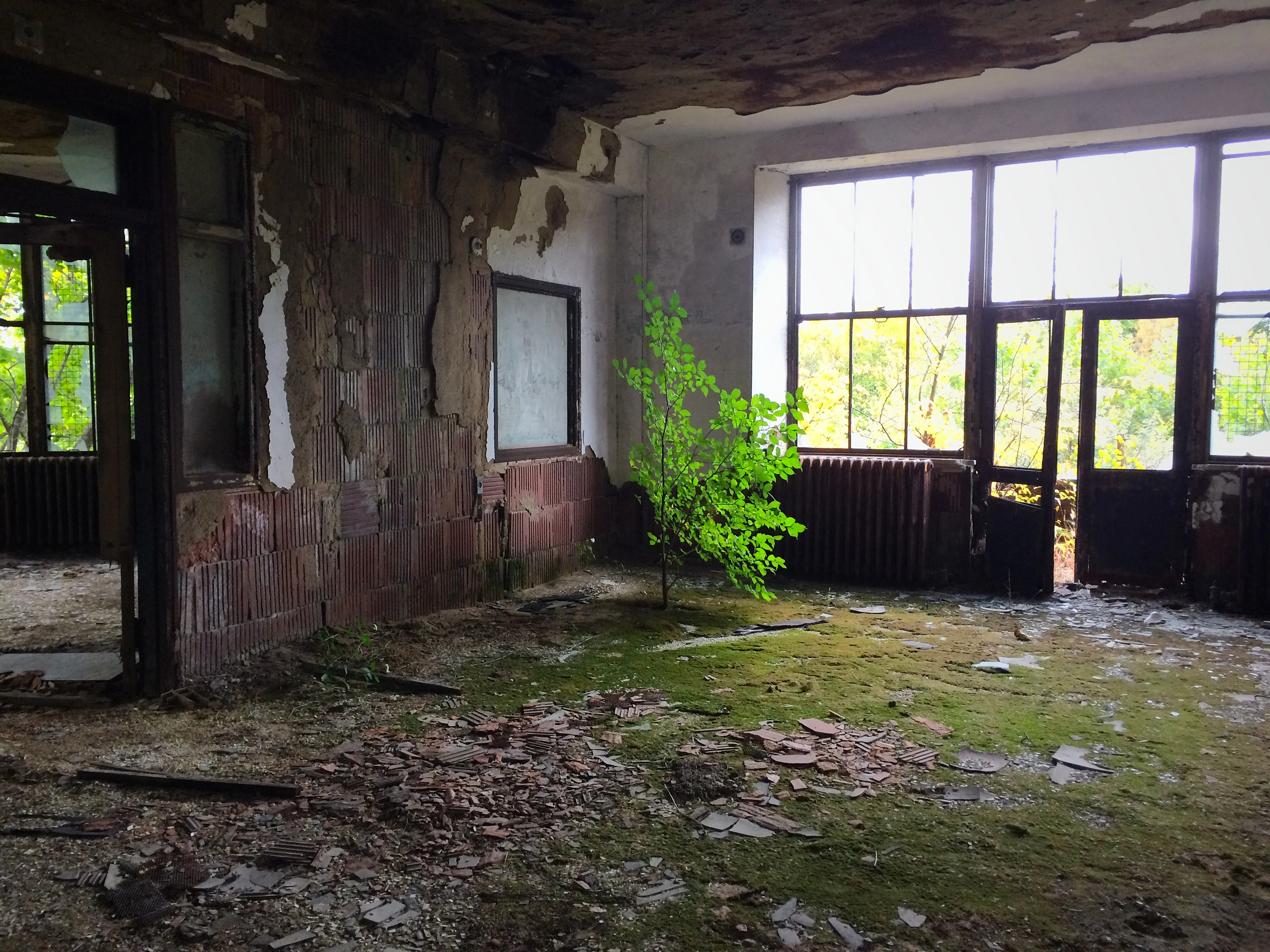 Danielle Baskin cover