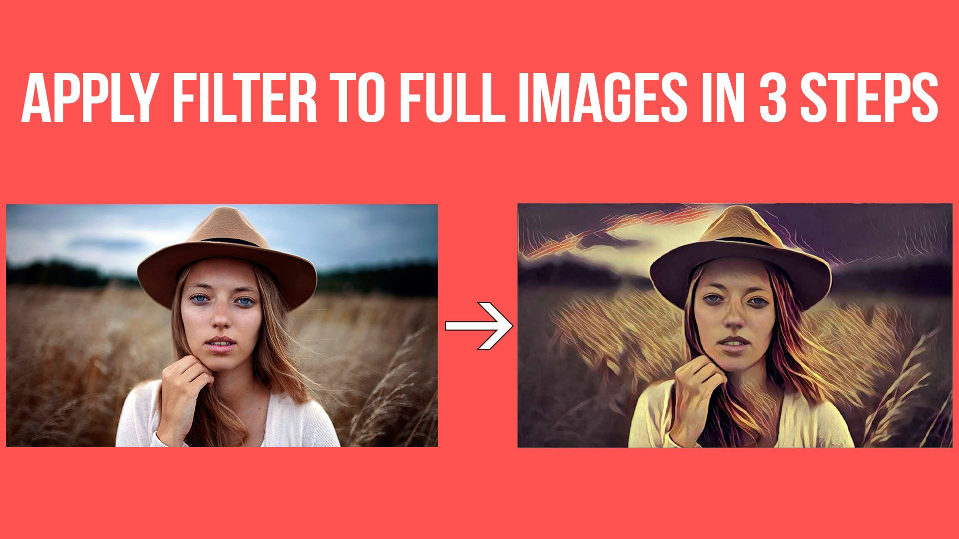 No Crop for Prisma gallery image