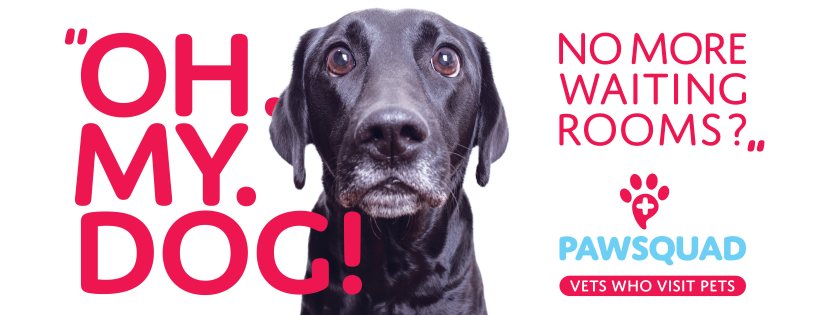 PawSquad gallery image