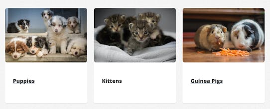 cuddlecall.me gallery image